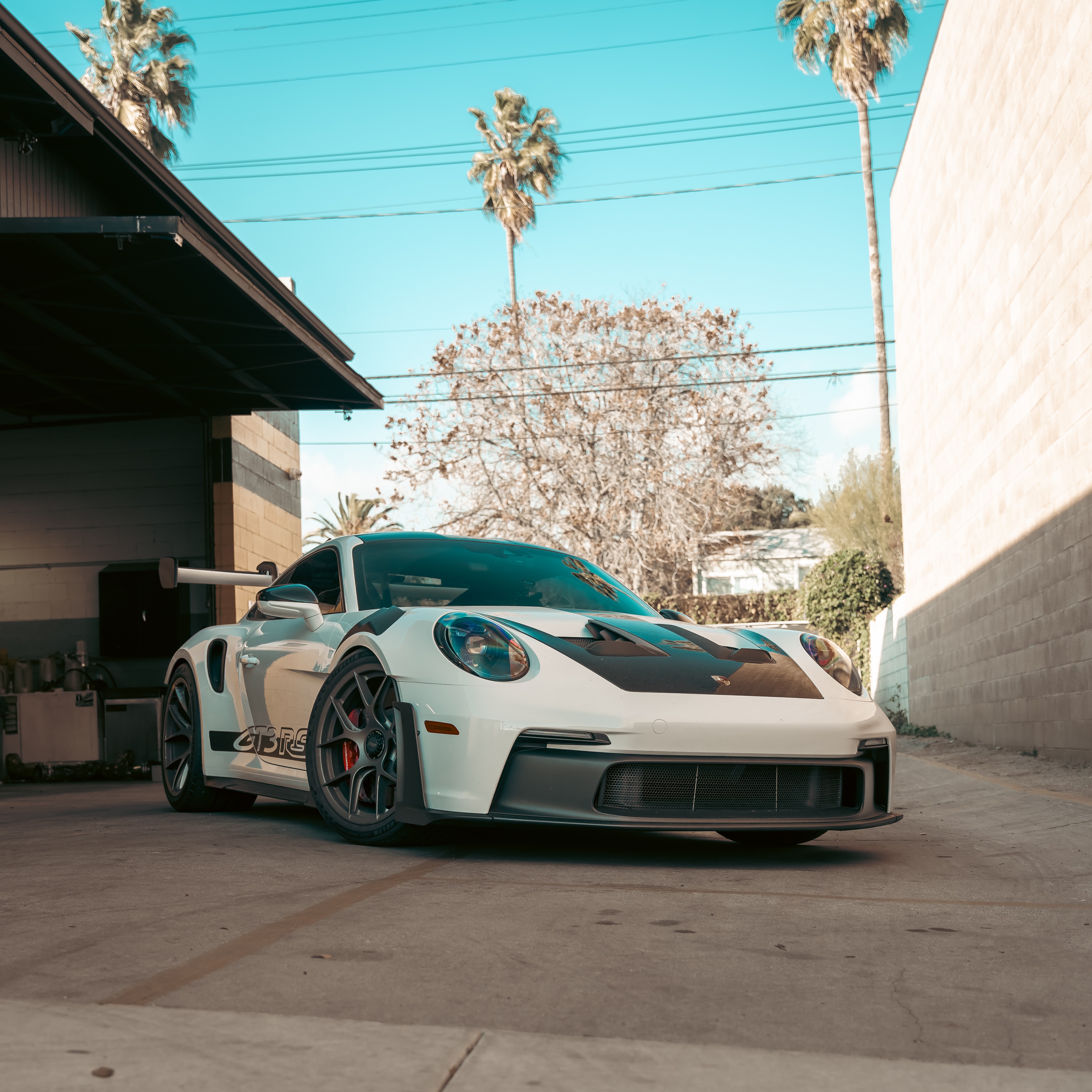 White sports car with black and red accents parked in a driveway, palm trees in background, clear sky.