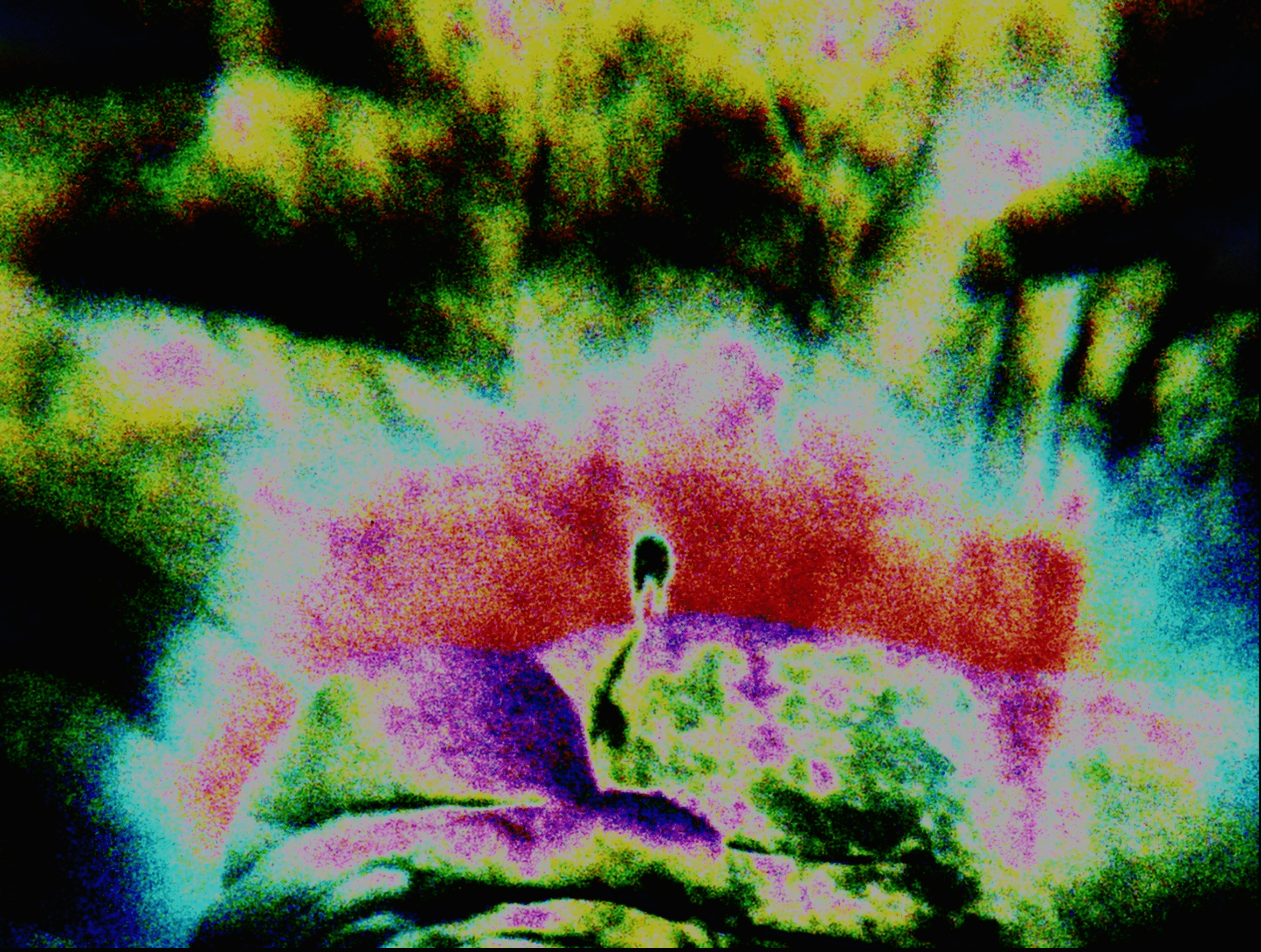 A swan stands on a rock with colorful, abstract background, blending green, purple, pink, and blue hues.