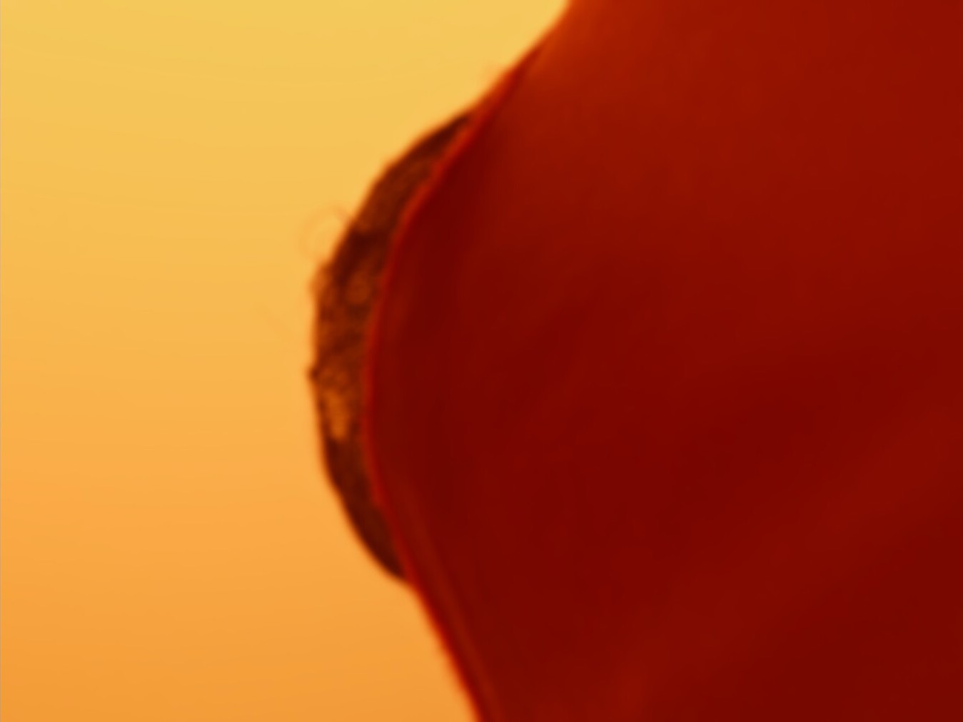Close-up of a person wearing a red shirt, with a yellow background.