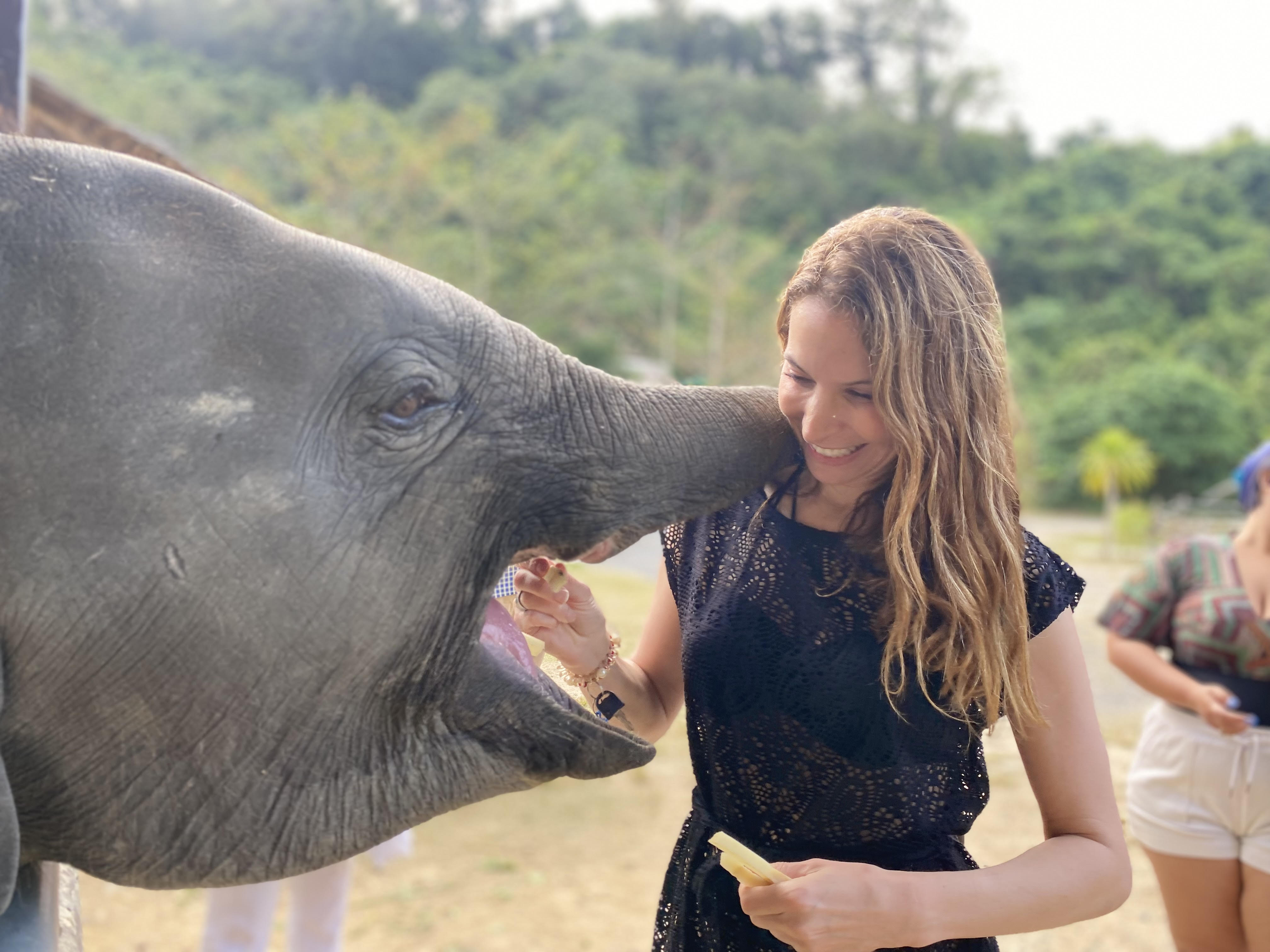 Young woman smiling with an elephant, holding a piece of food outdoors, green trees in background.