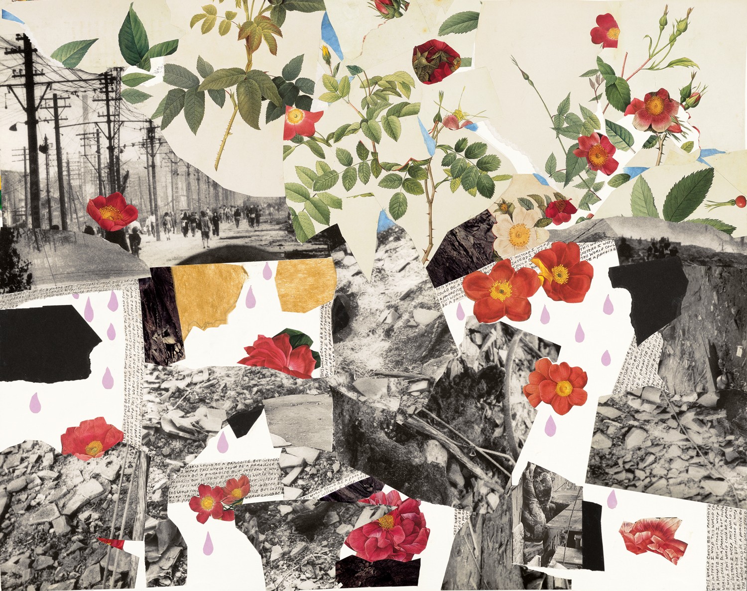 Collage of black-and-white photos with colorful flowers and leaves, some torn paper edges, and a background of power lines.