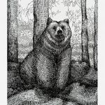 Bear sitting on ground in a forest with trees and foliage in background, detailed black and white sketch.