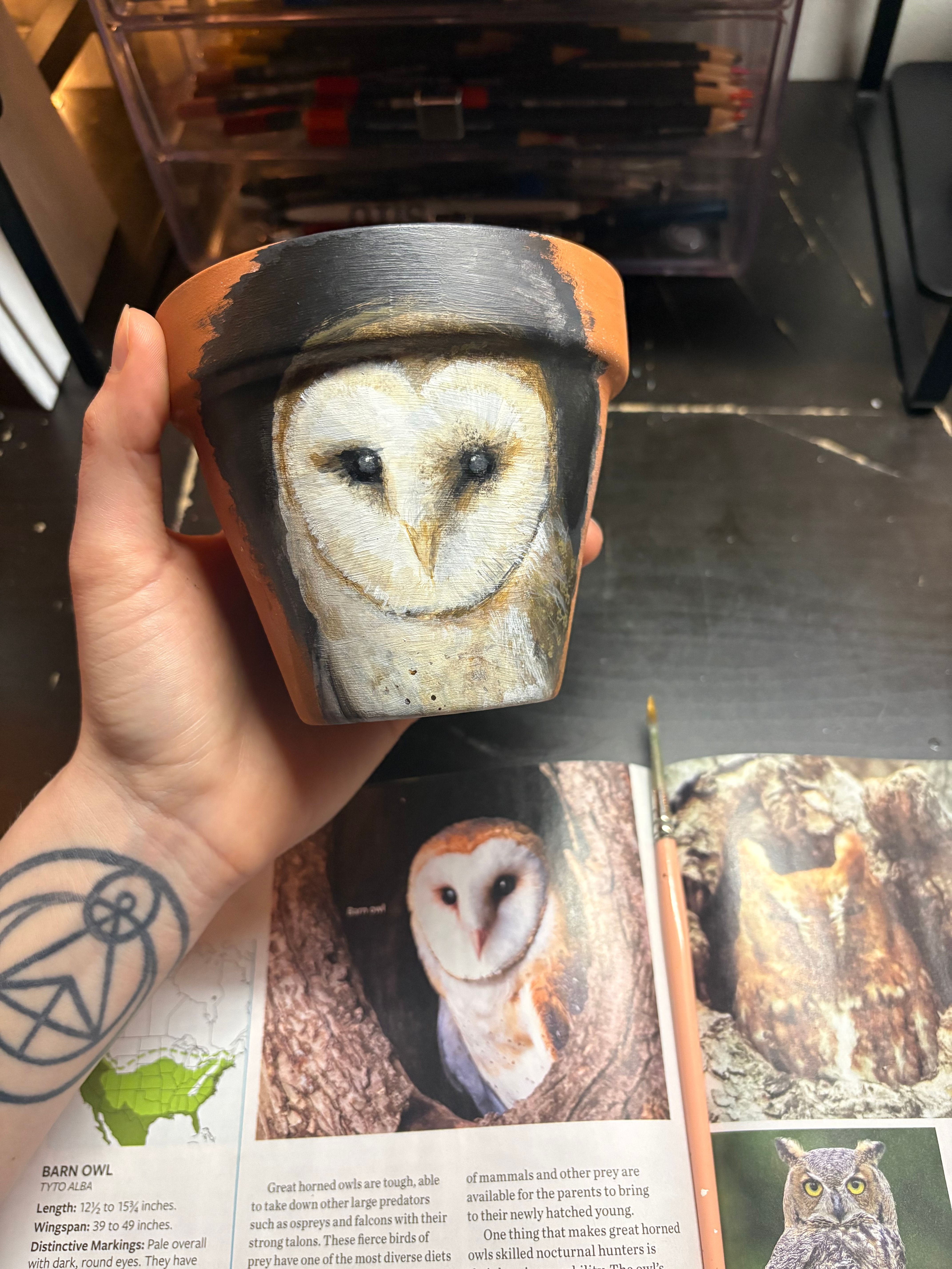 Hand holding a mug with a realistic owl face design, with a magazine and photographs in the background.