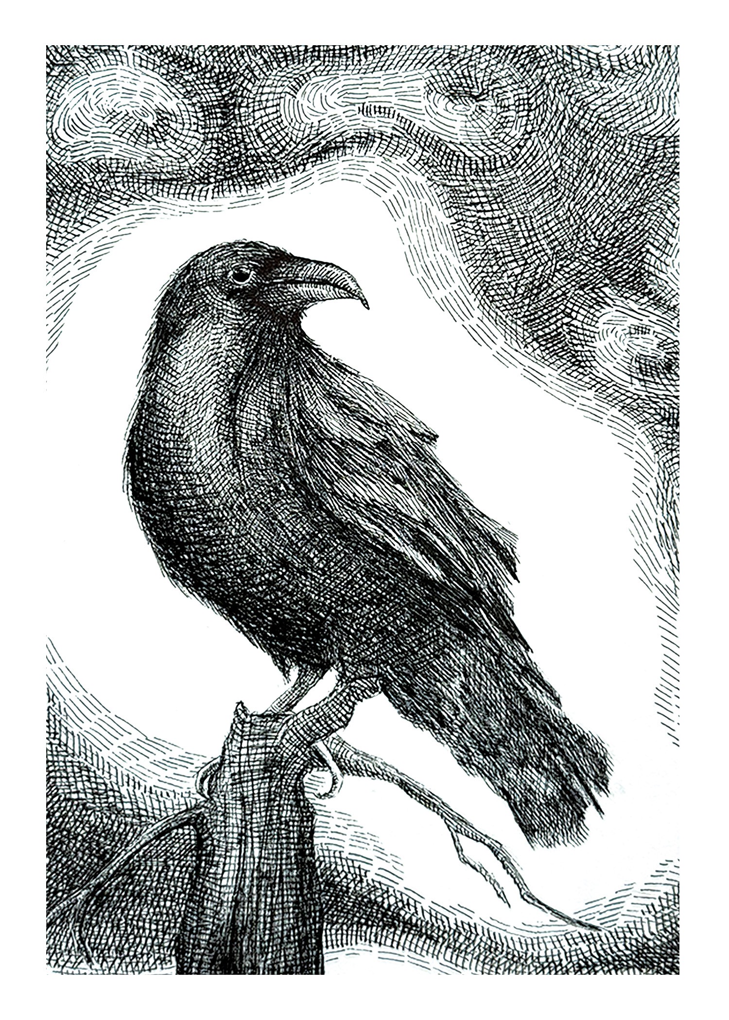 A detailed black and white illustration of a crow perched on a branch, with textured background elements.