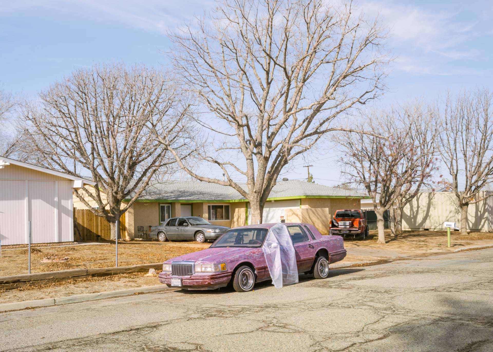 Person standing next to a purple car on a street with leafless trees and houses in the background.
