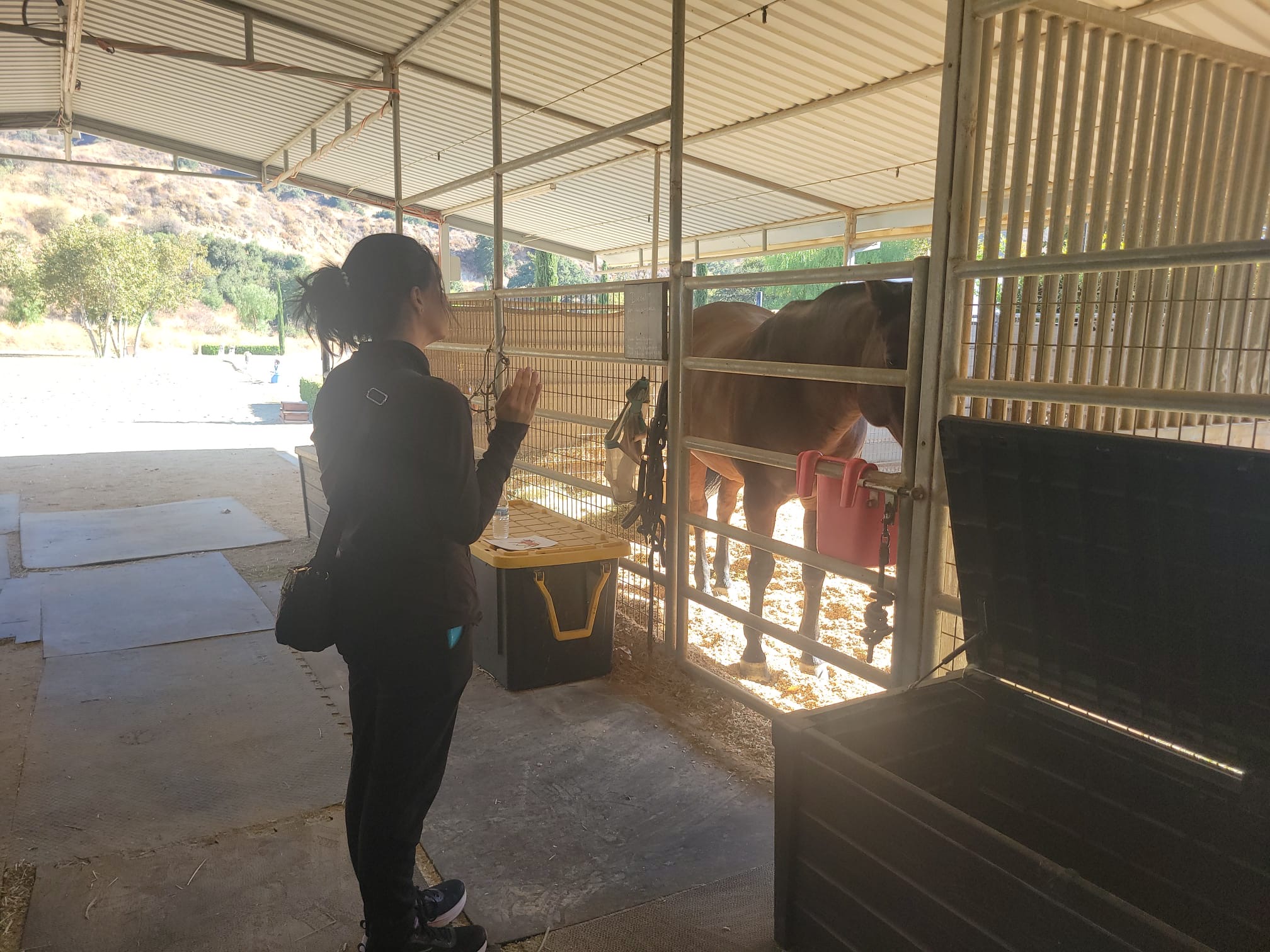 Person standing near a horse stable, holding a phone, with horses inside the stable, under a roofed structure.
